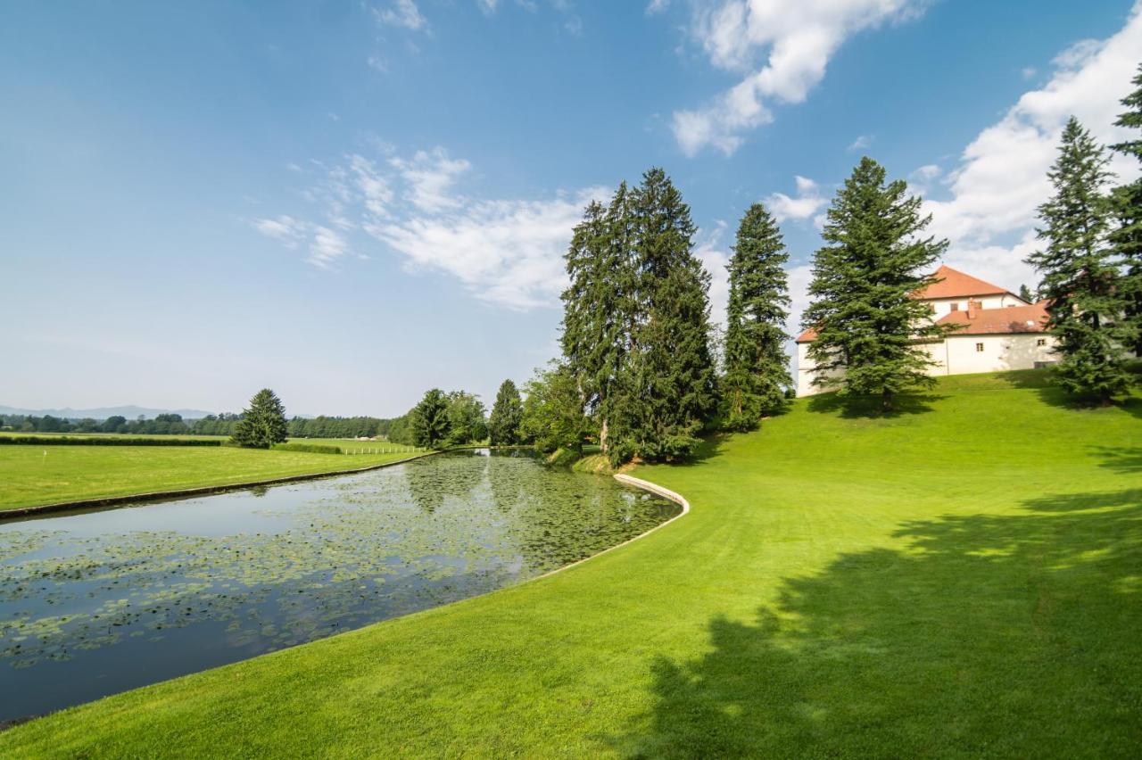 Grad Strmol Villa Cerklje na Gorenjskem Kültér fotó