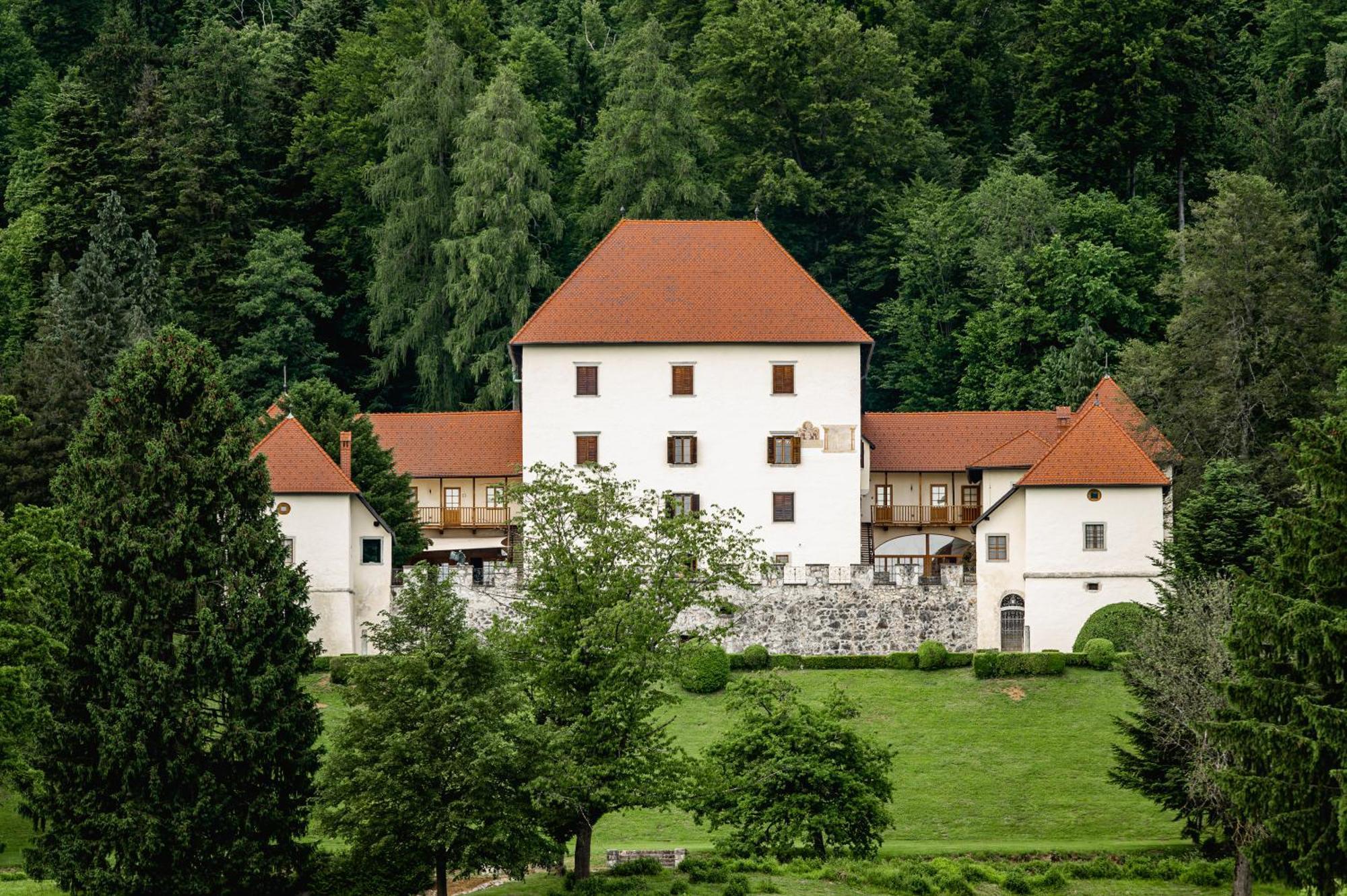 Grad Strmol Villa Cerklje na Gorenjskem Kültér fotó